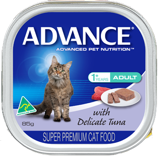 Cat food