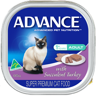 Cat Food