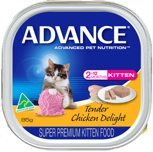 Cat Food