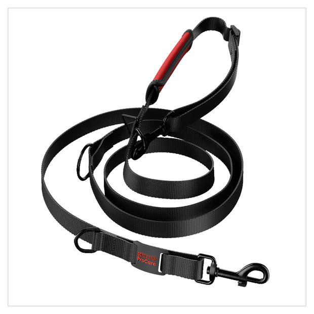 purina dog leash